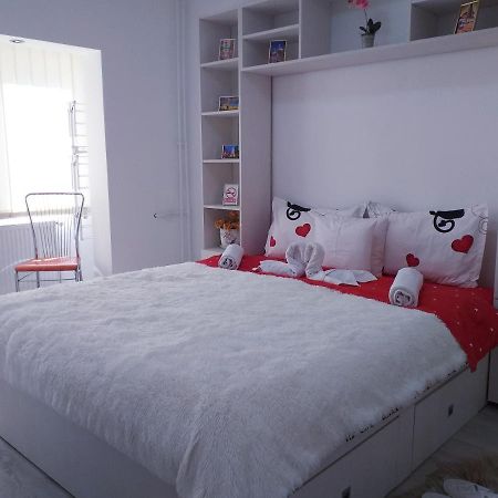 Epic Apartment Тимишоара Екстериор снимка