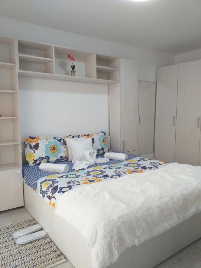 Epic Apartment Тимишоара Екстериор снимка