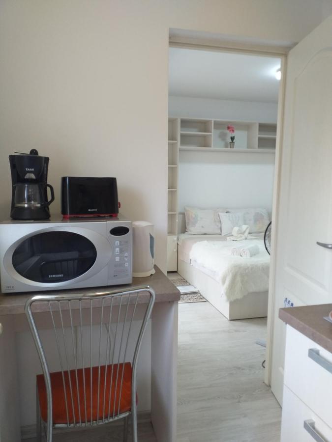 Epic Apartment Тимишоара Екстериор снимка