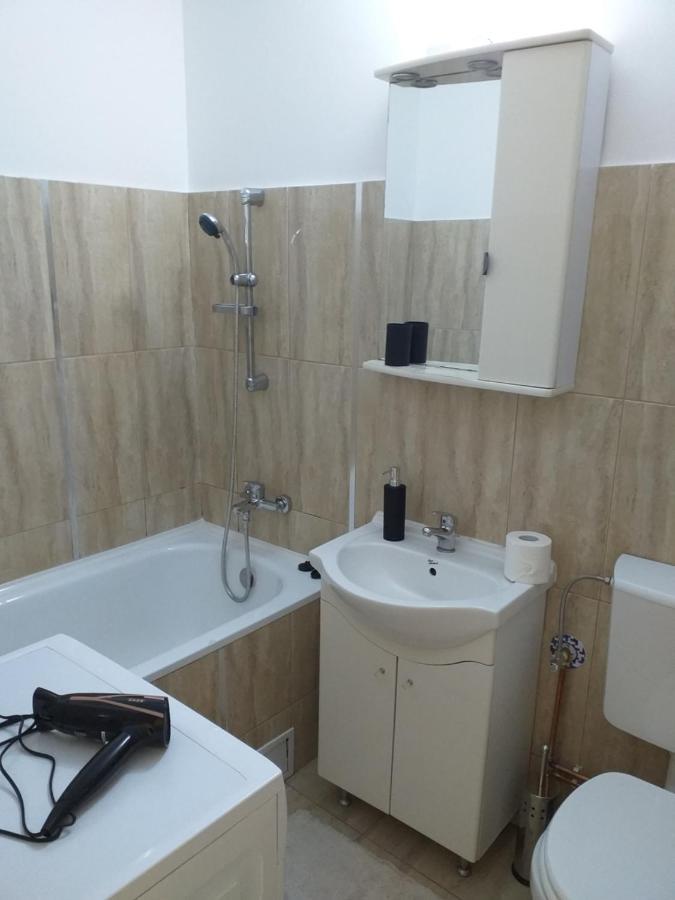 Epic Apartment Тимишоара Екстериор снимка