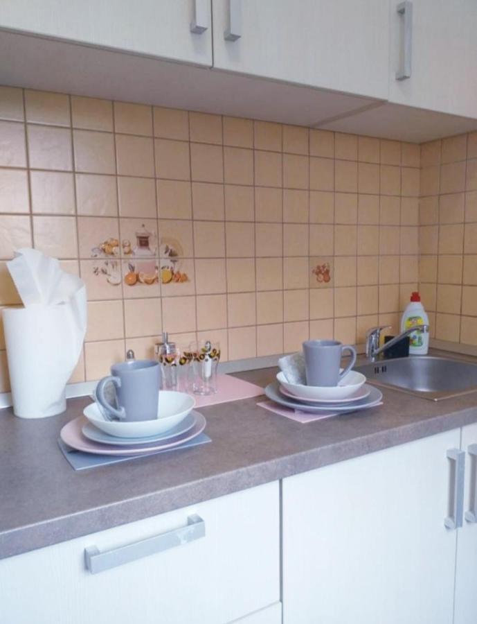 Epic Apartment Тимишоара Екстериор снимка