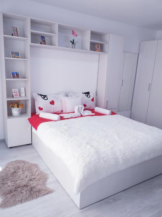 Epic Apartment Тимишоара Екстериор снимка