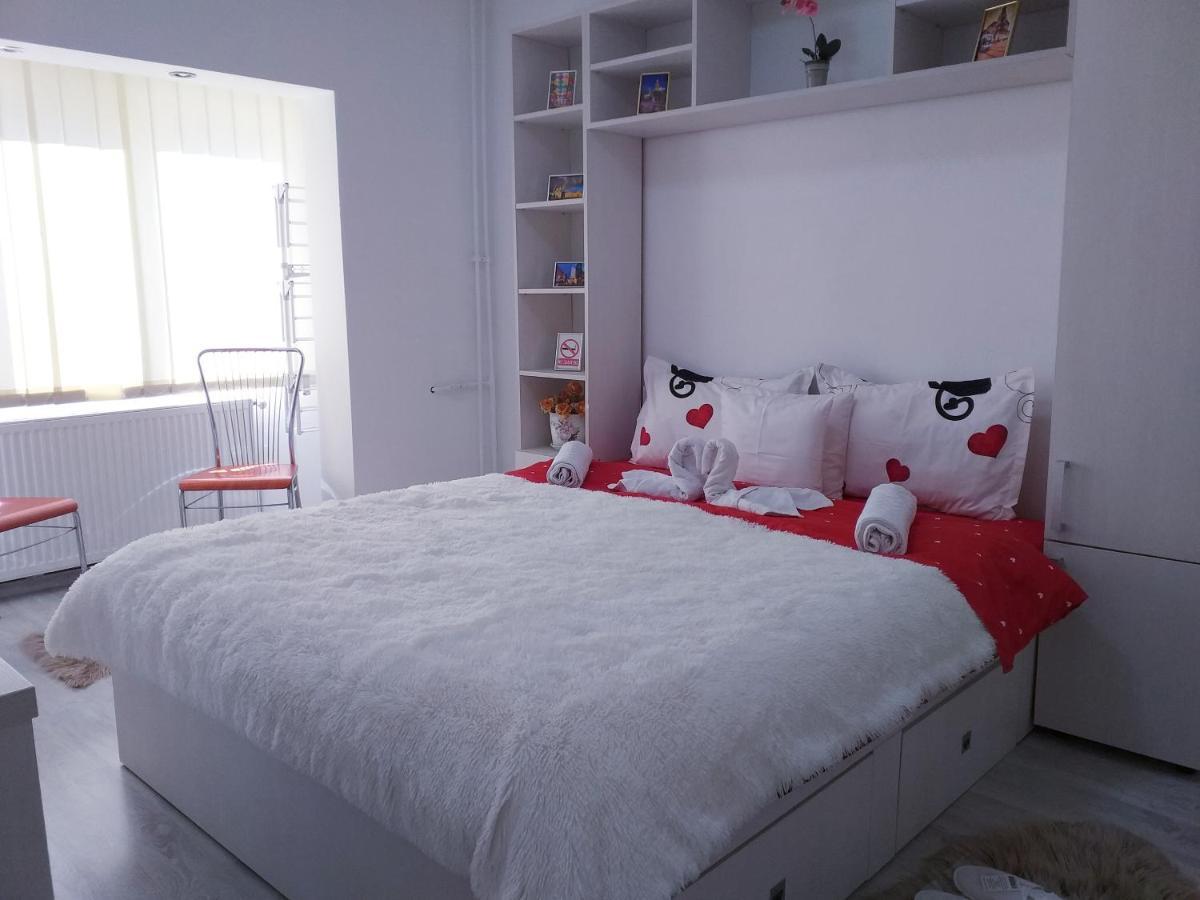 Epic Apartment Тимишоара Екстериор снимка